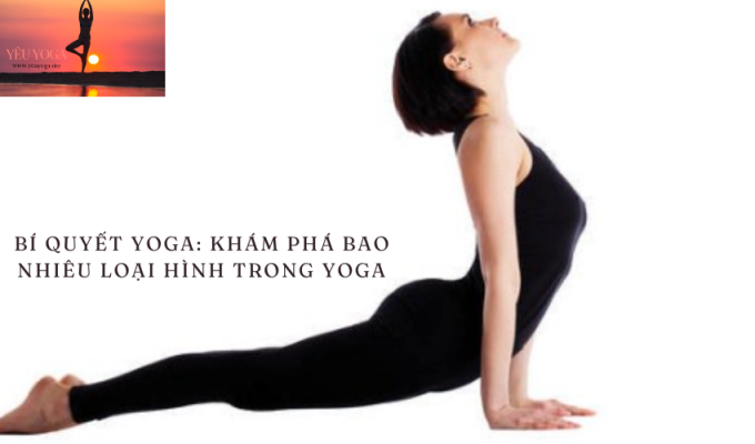 Bí quyết Yoga: Khám phá bao nhiêu loại hình trong Yoga