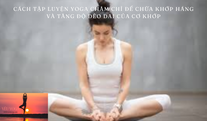 Cách Tập Luyện Yoga Chăm Chỉ để Chữa Khớp Háng và Tăng Độ Dẻo Dai của Cơ Khớp