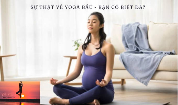 Sự thật về yoga bầu – Bạn có biết đã?