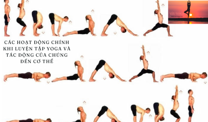 Các hoạt động chính khi luyện tập yoga và tác động của chúng đến cơ thể